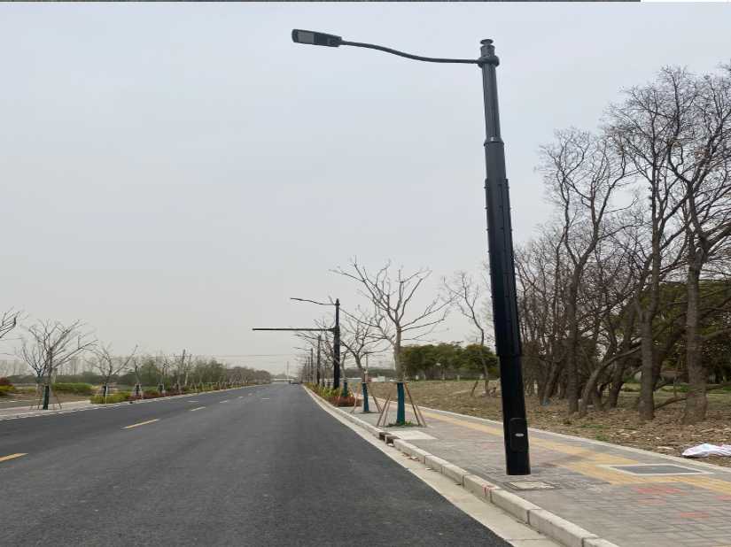 卢龙县上海综合杆 太阳能路灯工程
